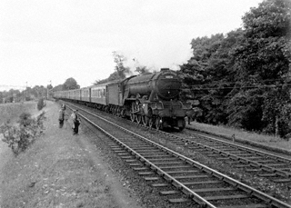 Photograph of 60036 Colombo