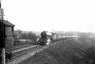 Photograph of 2581 or 2561 A3 Class